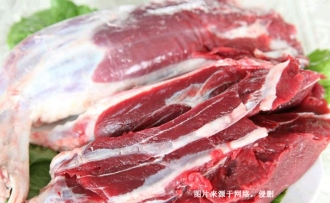 阿根廷冷凍牛肉進(jìn)口報(bào)關(guān)資料到天津代理海運(yùn)案例